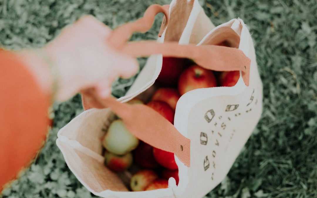 INNO4AGRO impulsa “Lleida, del camp a la taula”, un recull de productors agraris de proximitat, agrobotigues i cellers de Lleida que ofereixen servei a domicili