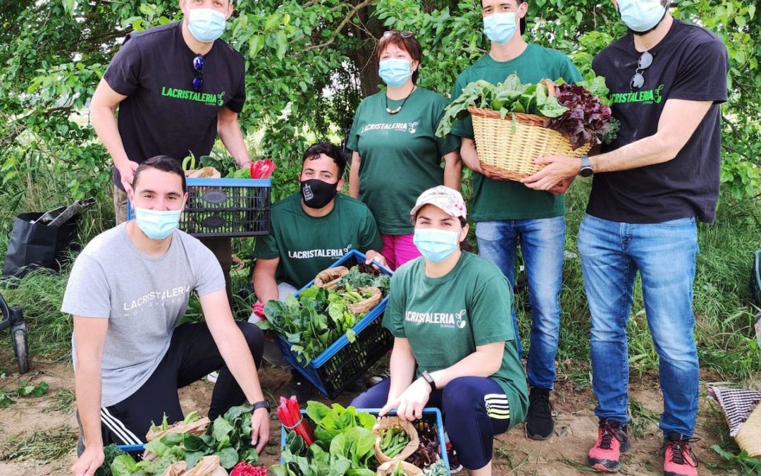 ‘La Cristaleria Germina’ ofereix cistelles d’hortalisses ecològiques d’un projecte agrosocial