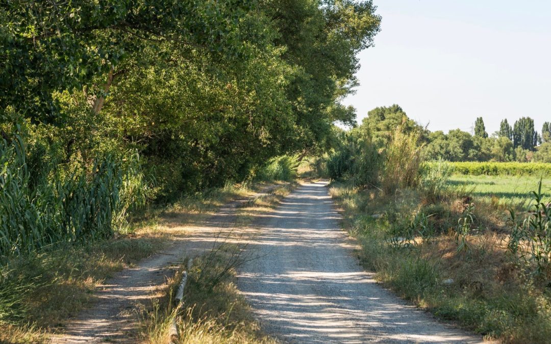 Turisme de Lleida impulsa la creació de dues rutes turístiques per la natura i l’Horta de Lleida en el marc del projecte Inno4Agro